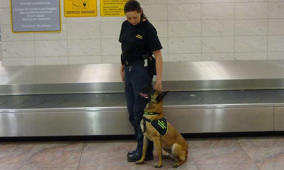 2015-3-12-818boxy foto 5.jpg